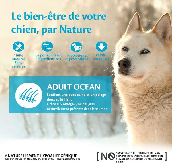 Wellness CORE Ocean, Croquettes pour Chien de Grande et Moyenne Taille, 100% Naturelles, Poisson Frais, Pré- & Probiotiques, Saumon/Thon, 10 kg