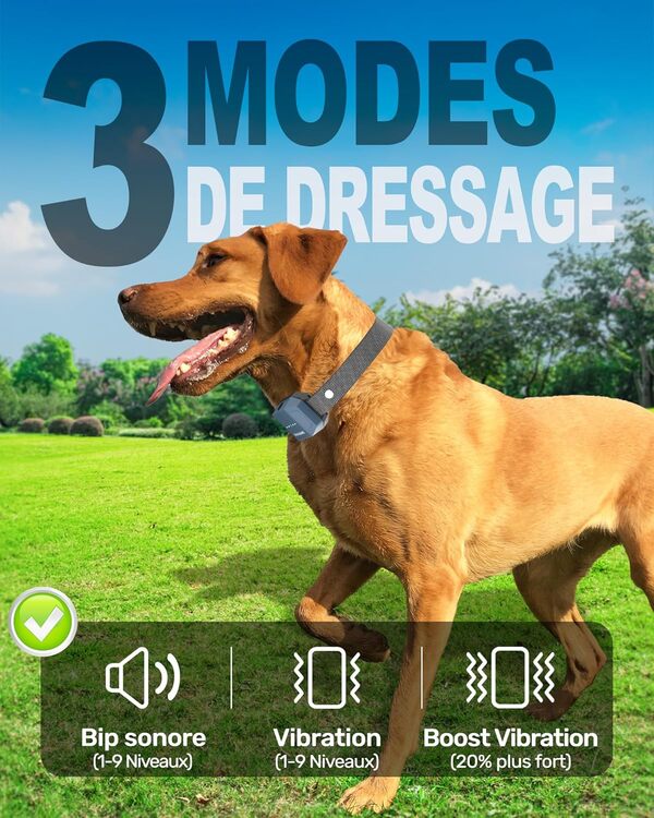 STAALGUARD Collier de Dressage pour Chien, sans Choc Électrique, Modes BIP, Vibration et Boost, Portée 3km, Ultra Compact, Rechargeable, Autonomie 30 Jours, Étanche IP67, Adapté à Tous Les Chiens