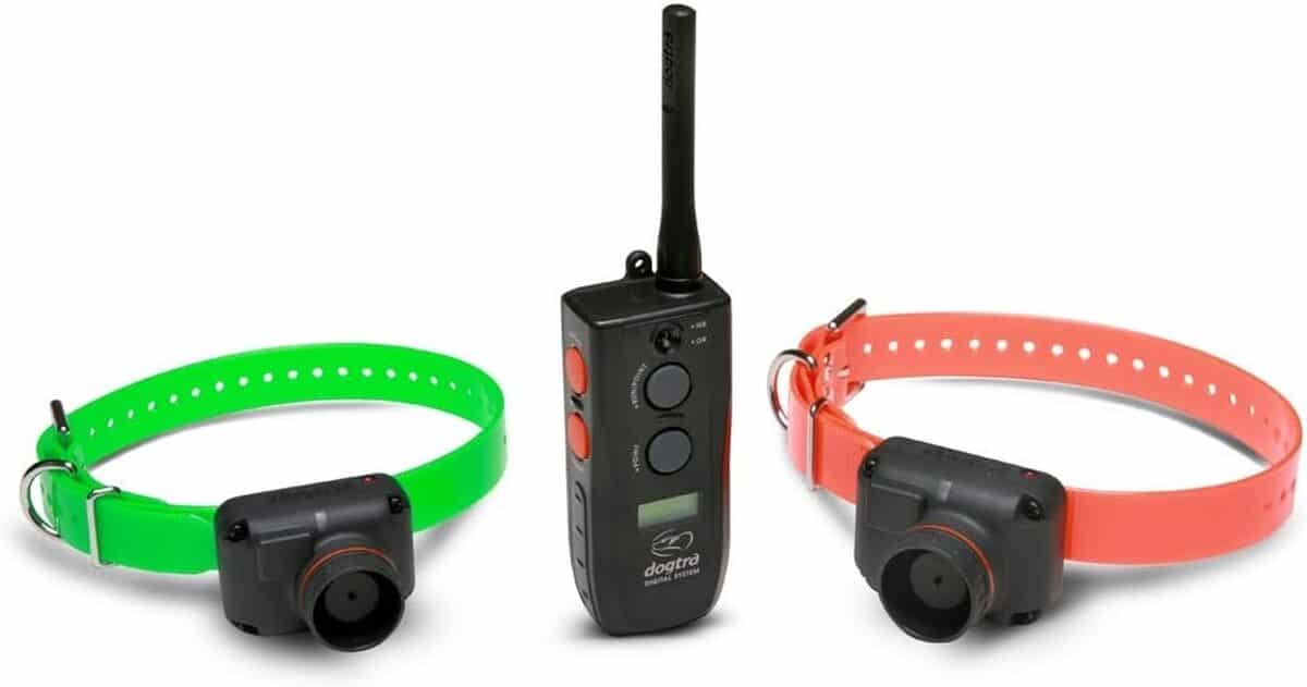 Test du dogtra RB 1002 : collier de repérage à écran LCD pour 2 chiens