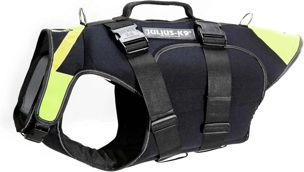 Test du harnais-gilet de sauvetage Julius K-9 IDC pour chiens (taille XL, néon)