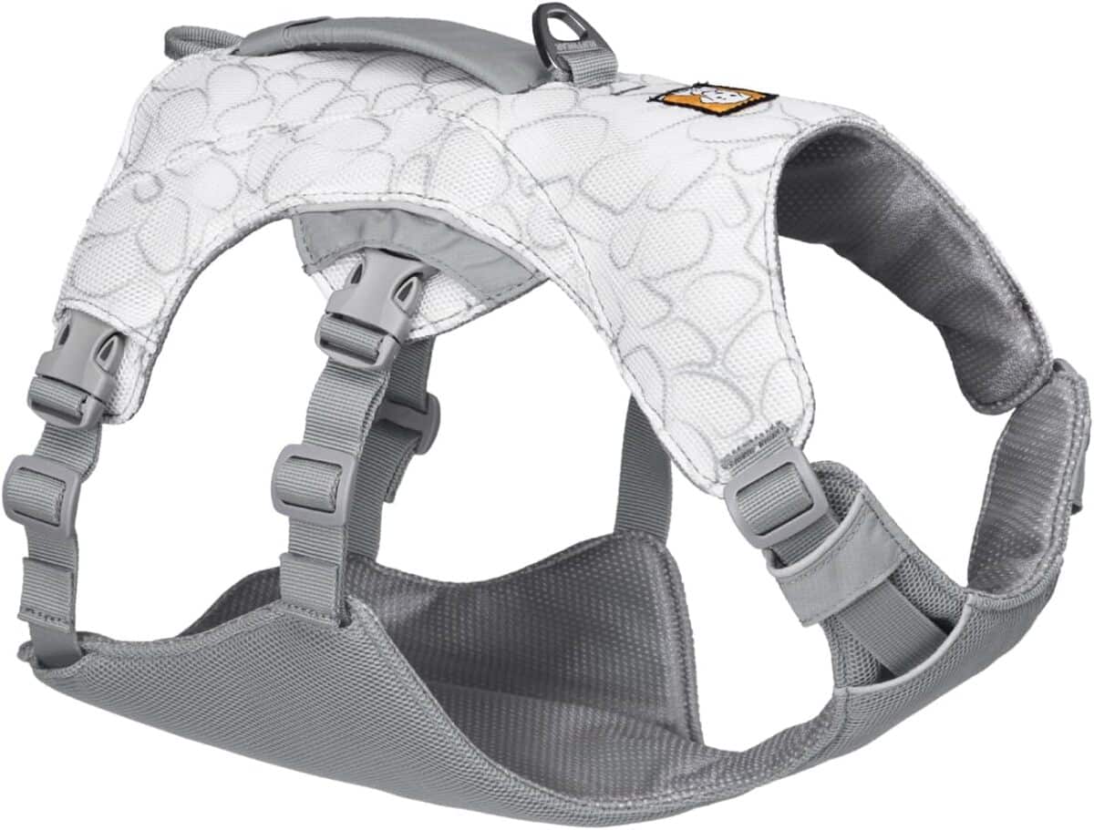 Test du harnais rafraîchissant RUFFWEAR Swamp Cooler pour chien