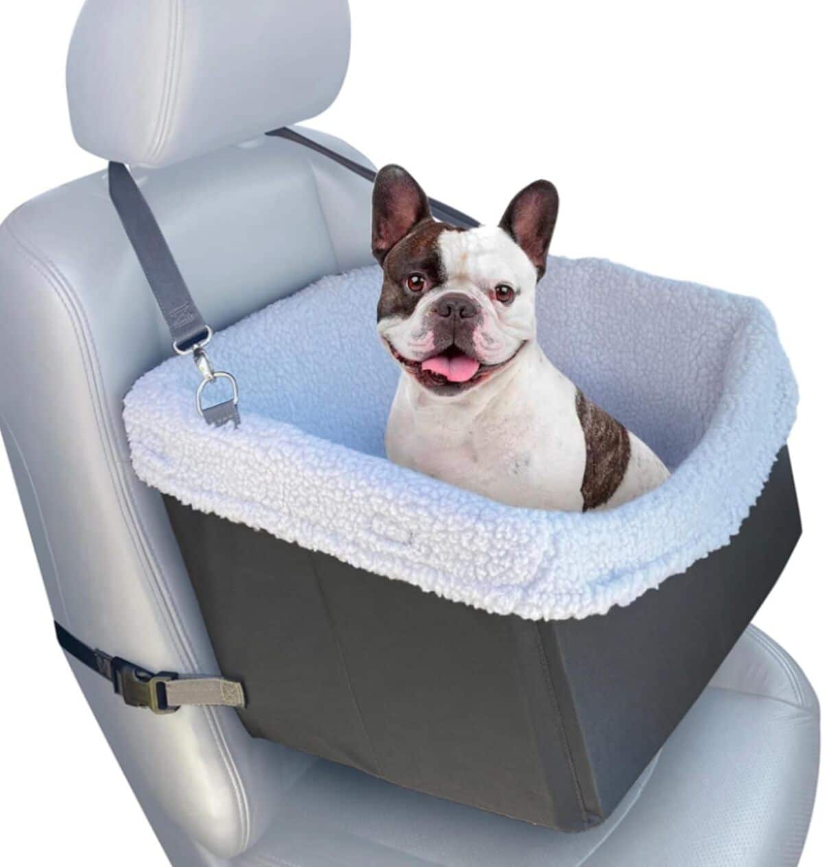 Test du siège rehausseur pour chiens avec ceinture réglable