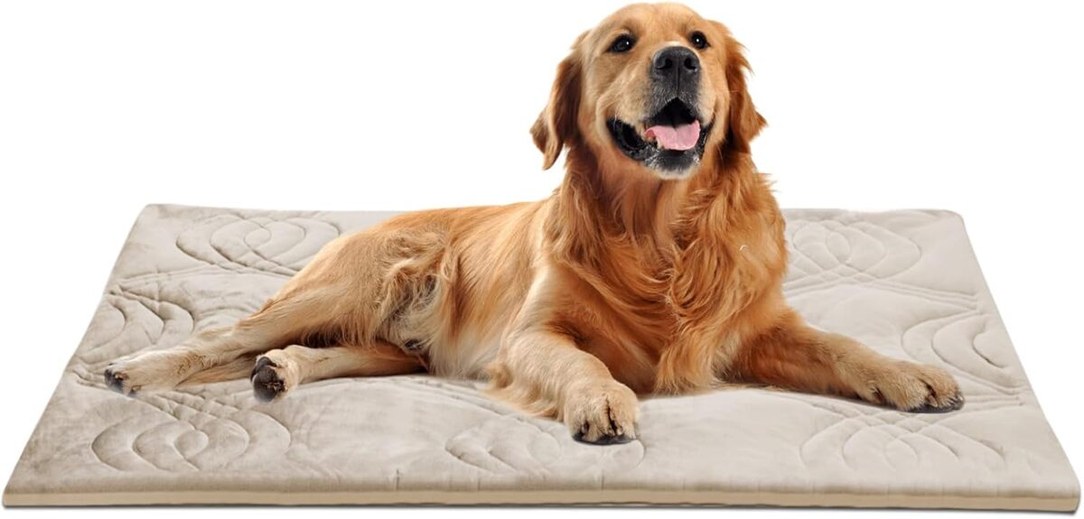 Test du tapis rafraîchissant Thirdream pour animaux