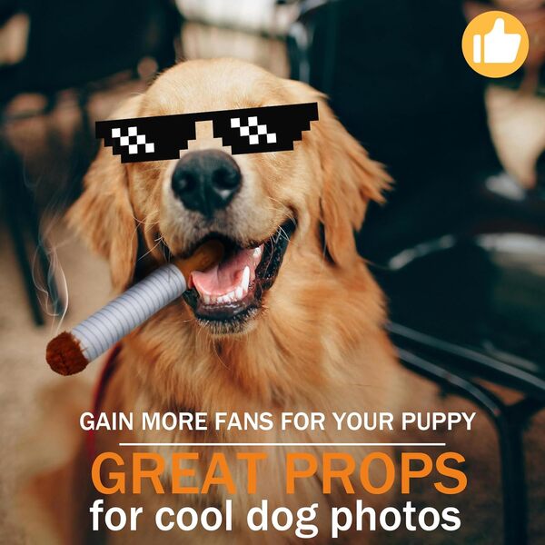 Giggle Puff Stick Ensemble de jouets interactifs en peluche pour chien, jouet couineur amusant, idéal pour les races de petite, moyenne et grande taille comme Pitbull Husky Frenchie, accessoire