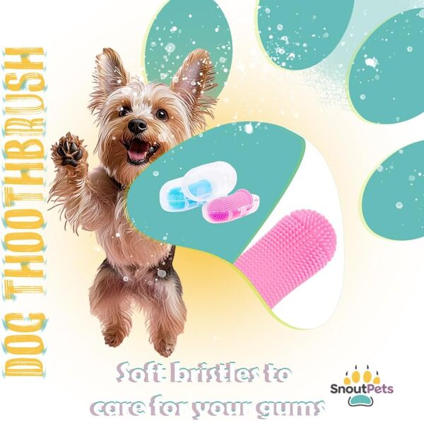 Brosse à dents cylindrique pour chien - Kit de brossage des dents pour chien facile à utiliser - Avec brosse à dents pour chiens - Hygiène - Prend soin des dents et des gencives - Idéal pour les