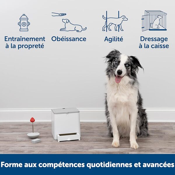 PetSafe - Teach & Treat Dispositif de Dressage par récompense télécommandé - Distributeur de friandises à Distance pour Chiens - Outil de Dressage Portable