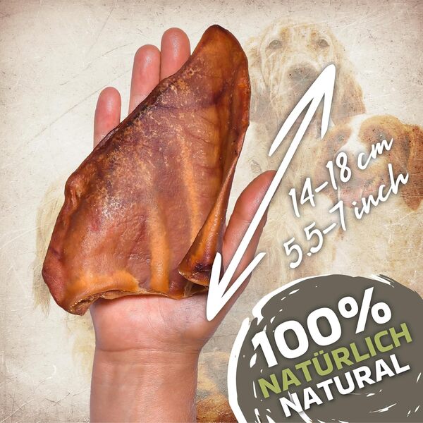 Oreilles de Porc pour Chiens 100 pièces (4kg) | Friandises Naturelles à mâcher | sans céréales ni additifs | Séchées à l’air | pour Chiots, Adultes et Chiens Seniors
