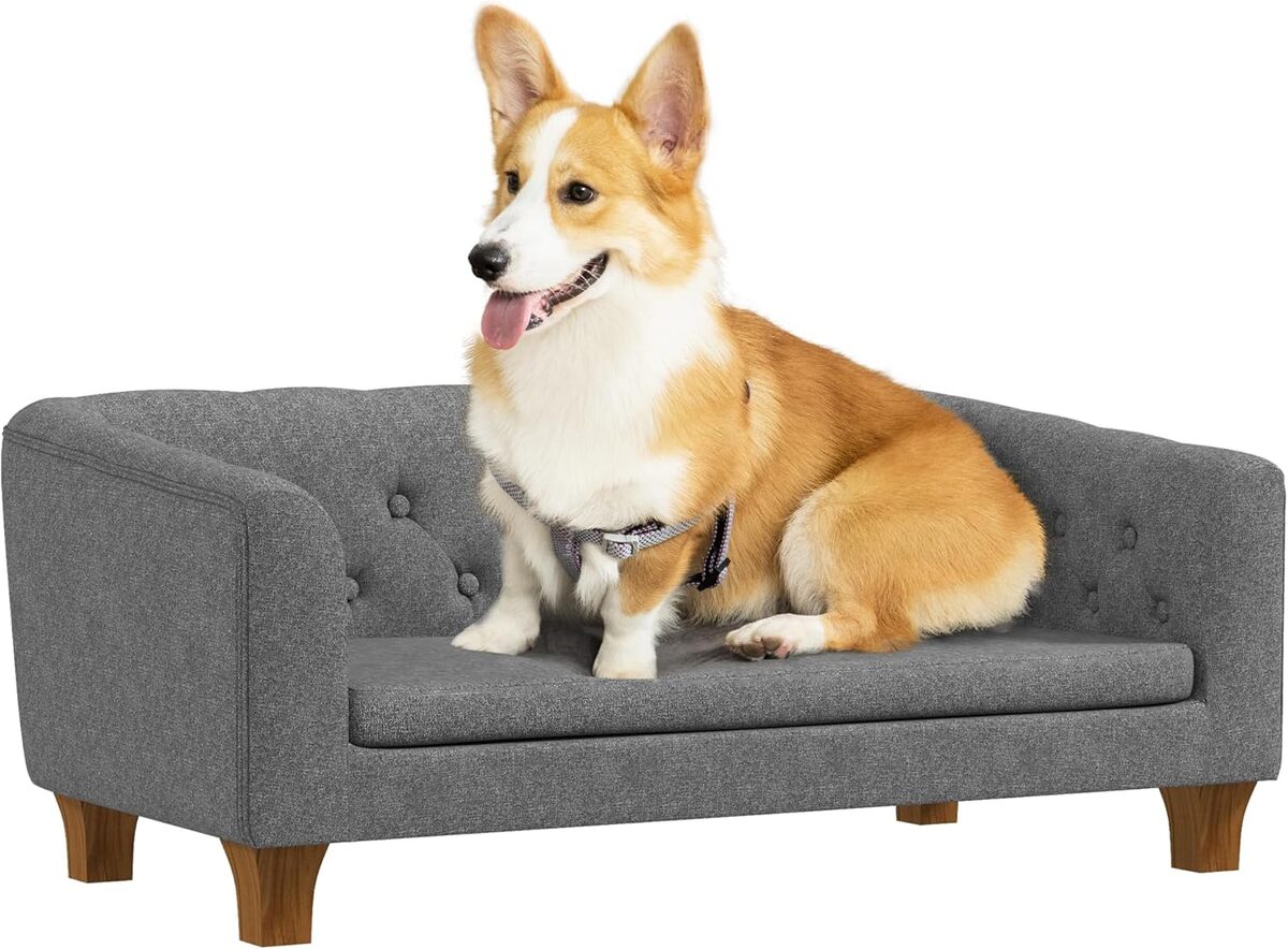 Test : canapé surélevé PawHut pour chiens et chats