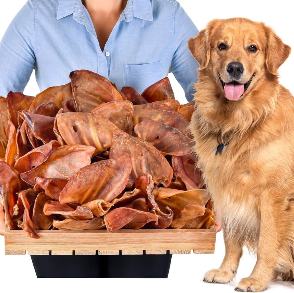 Test des oreilles de porc naturelles: friandises sans céréales pour chiens