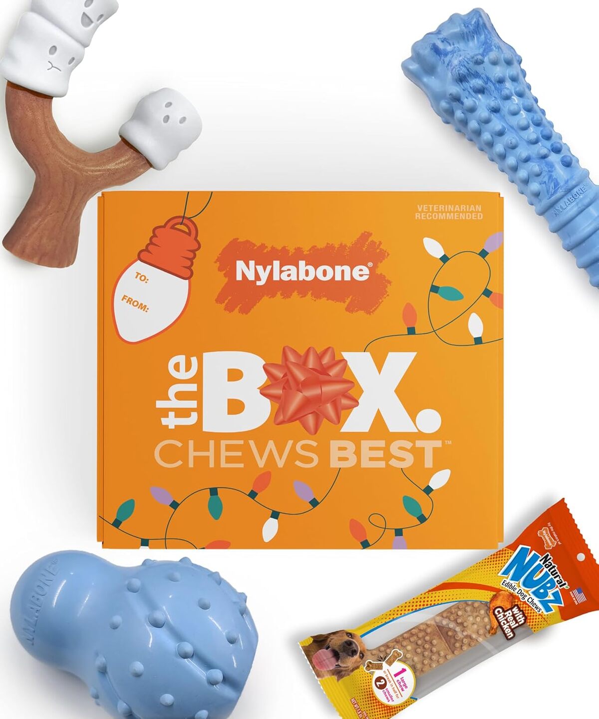 Test du coffret Nylabone : jouets et friandises pour grands chiens