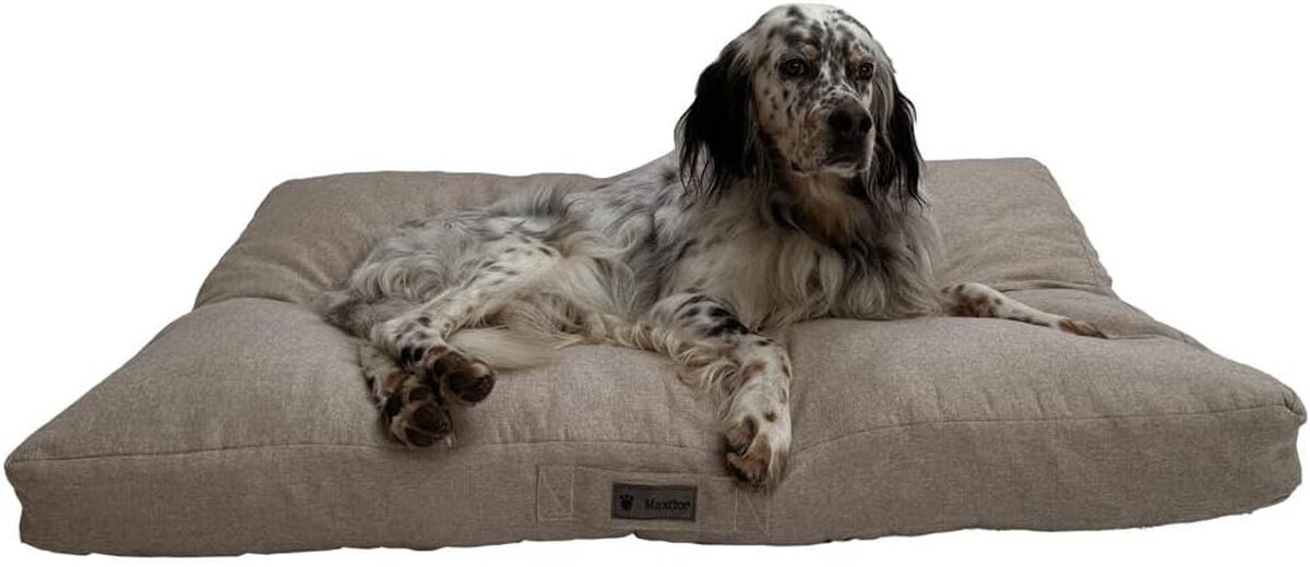 Test du coussin MaxCor : mémoire de forme orthopédique pour chien