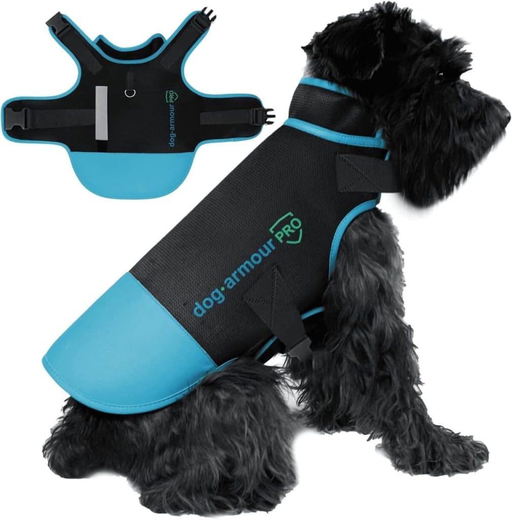 Test du harnais de protection ajustable pour chien