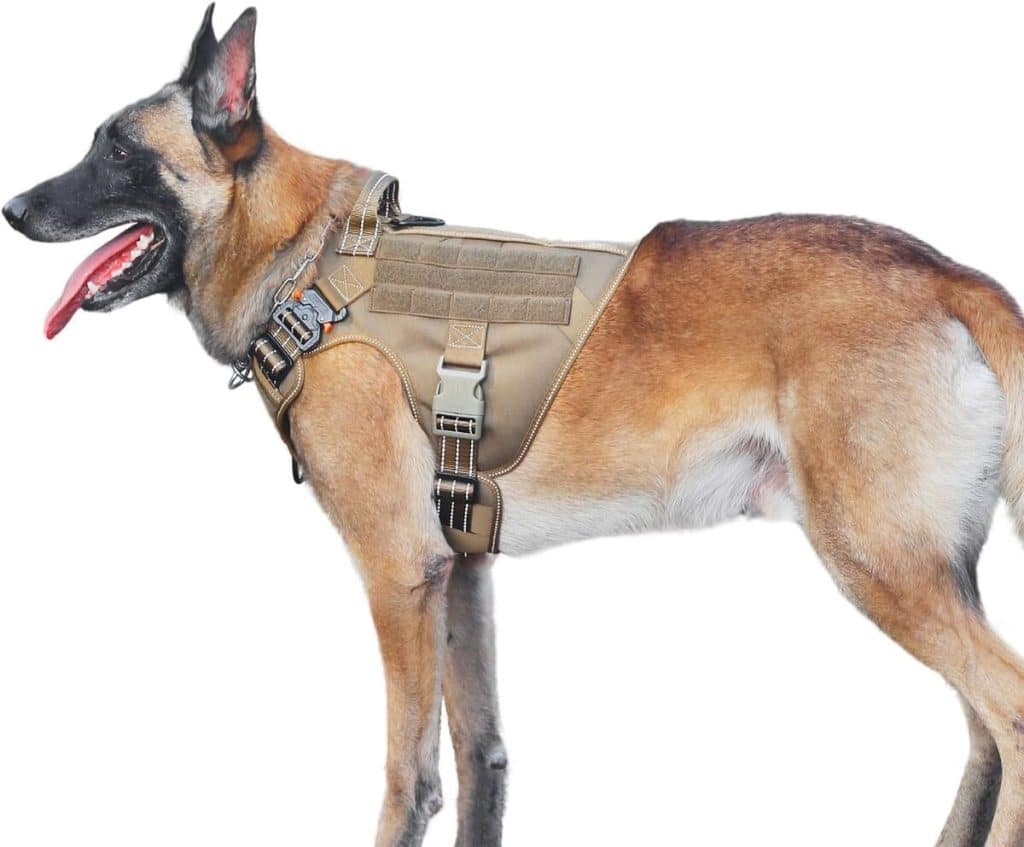 Test du harnais tactique réfléchissant ICEFANG GN1 pour chien