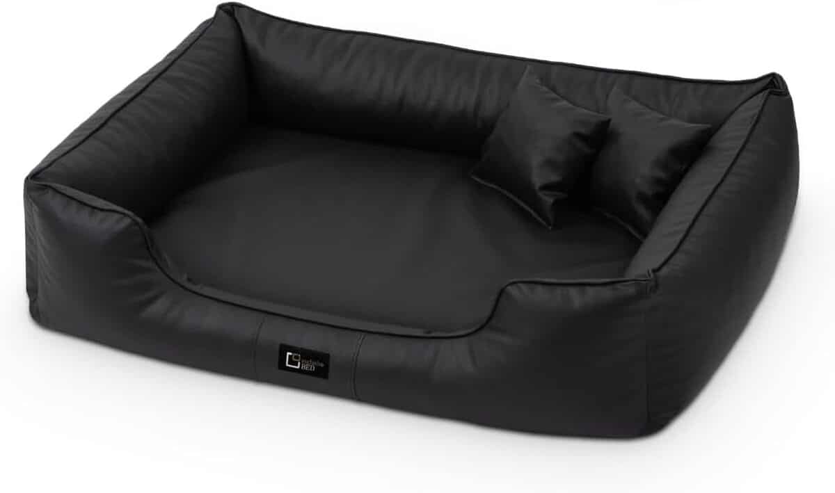 Test du lit orthopédique Max pour chien : confort et style en similicuir