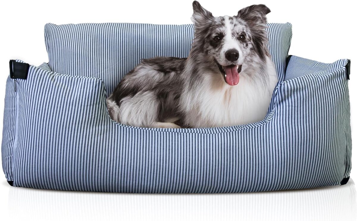 Test du rehausseur de siège auto imperméable Johnear pour grands chiens