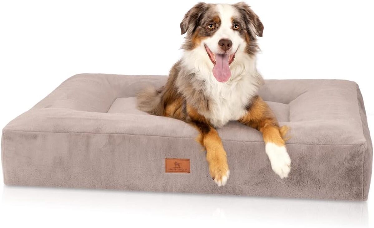 Test : lit orthopédique Knuffelwuff Midland, confort maximal pour chiens