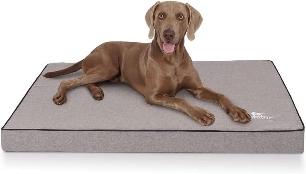 Test : tapis orthopédique Knuffelwuff Nantucket gris taille XXXL