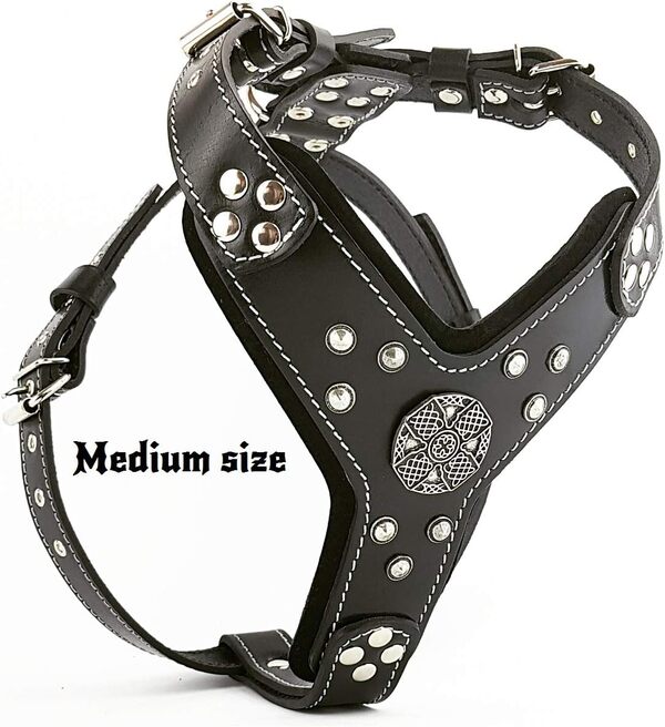 Bestia Maximus Silver Harnais en Cuir de Gros Chien