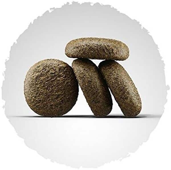 Josera Lachs et Kartoffel Nourriture pour Chien, 15 kg