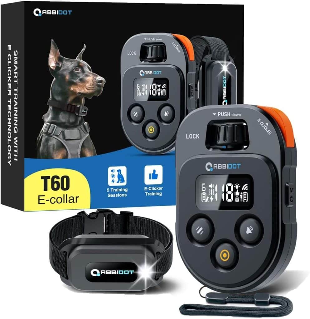 Test collier de dressage ABBIDOT : efficacité et portée optimales