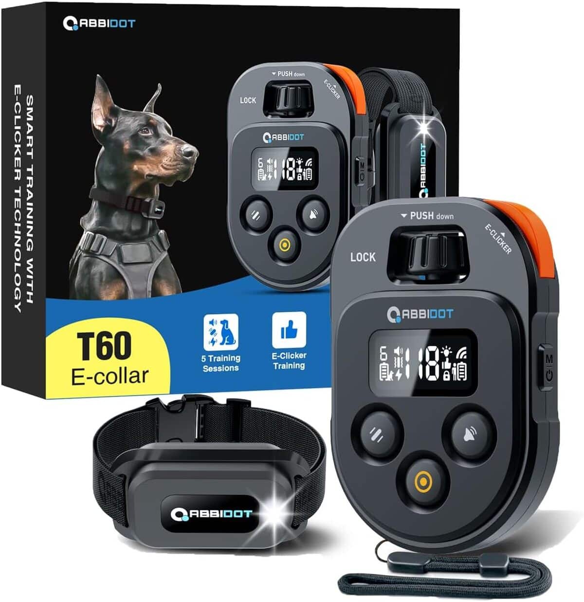 Test collier de dressage ABBIDOT : efficacité et portée optimales