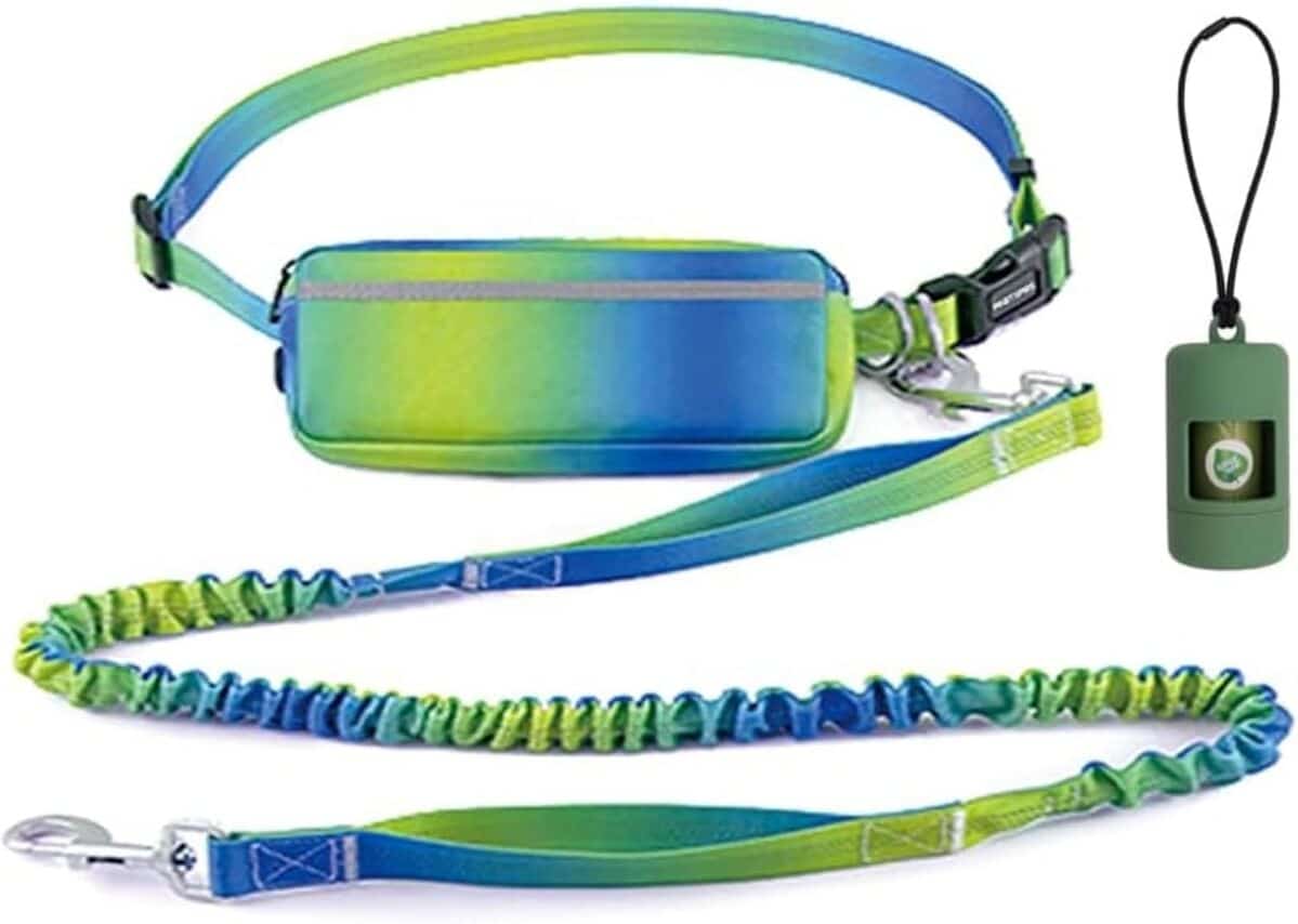 Test de la laisse mains libres Pinetapirs pour chien