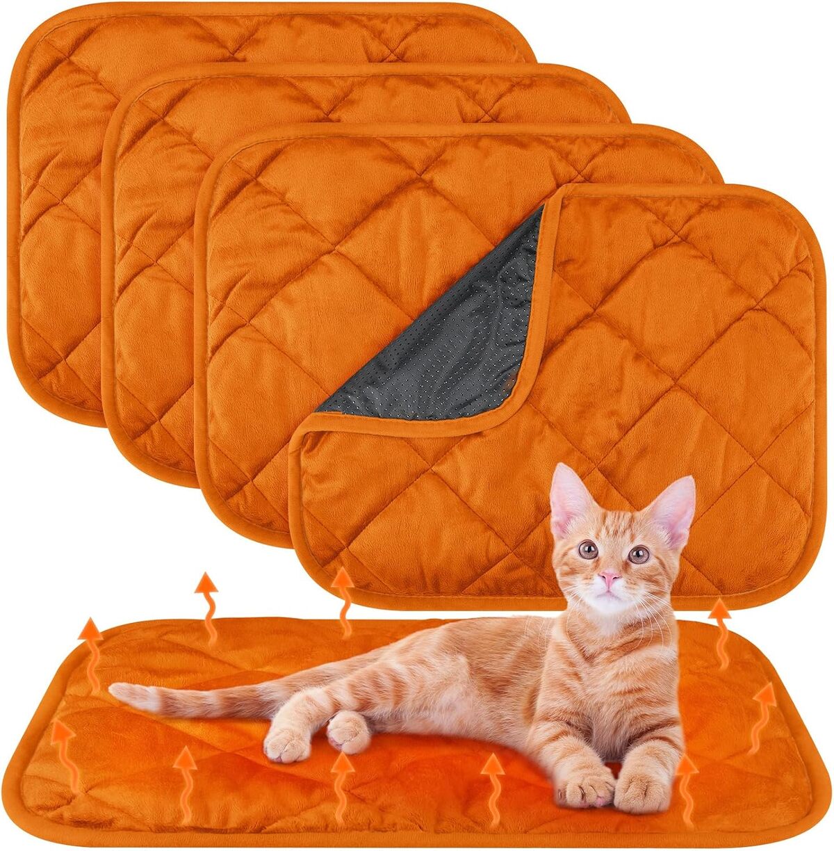 Test des tapis auto-chauffants Clysee pour animaux