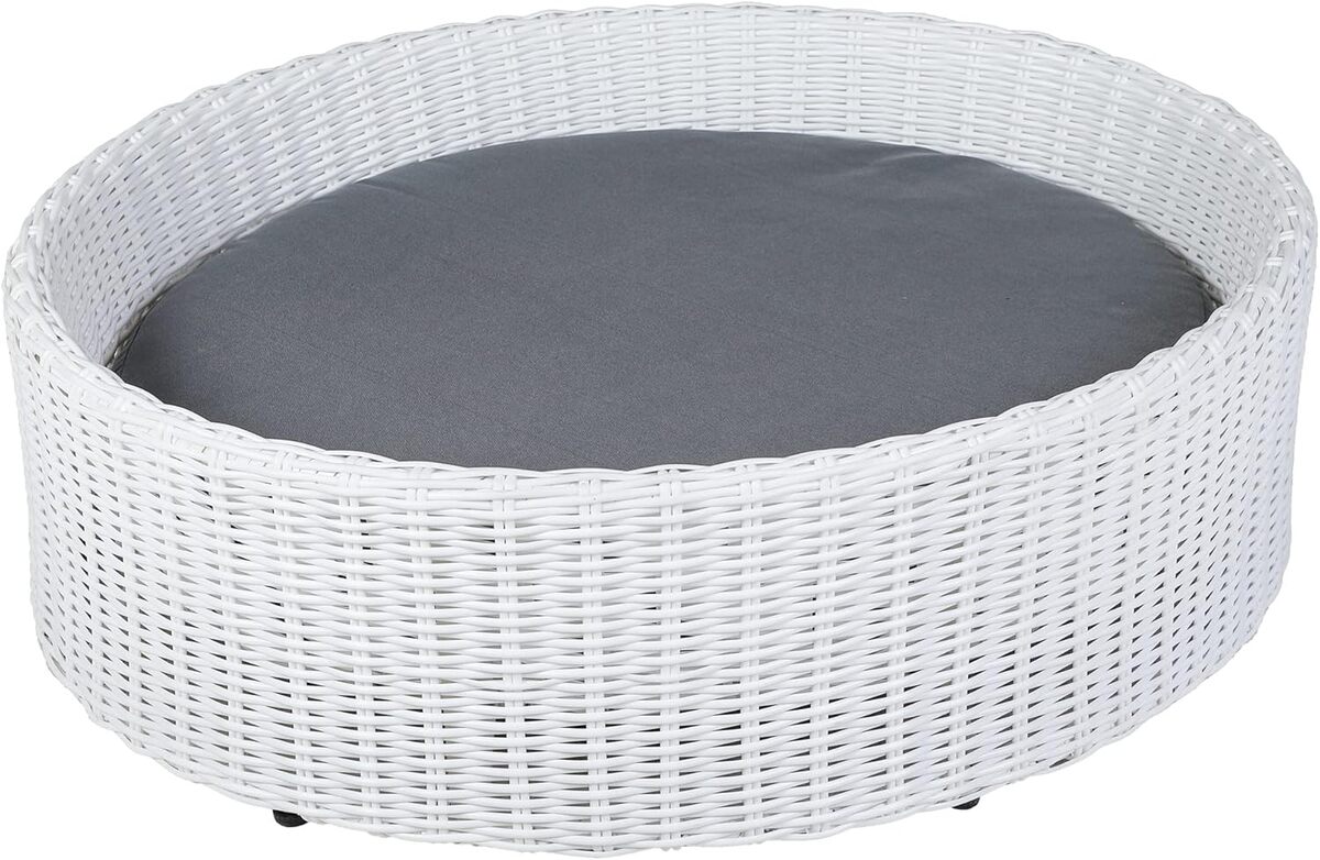 Test du canapé pour chien greemotion : confort et élégance