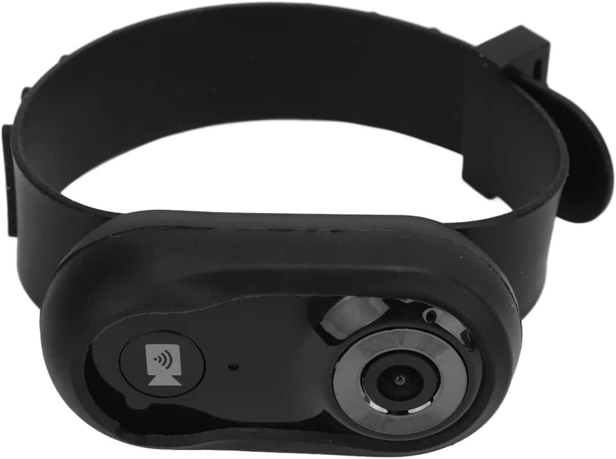 Test du collier caméra Gloglow : l'œil de votre chat en HD
