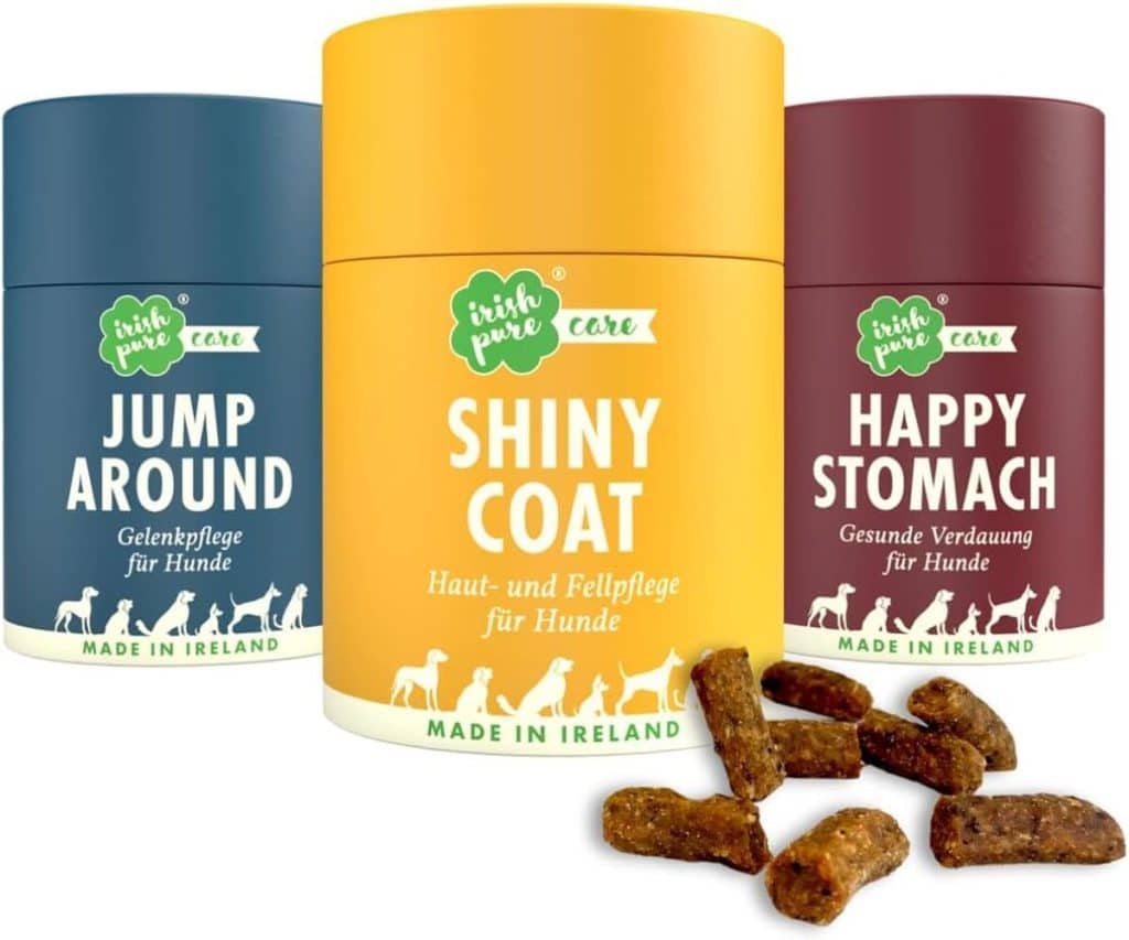 Test du complément alimentaire Irish Pure : superfood pour chiens
