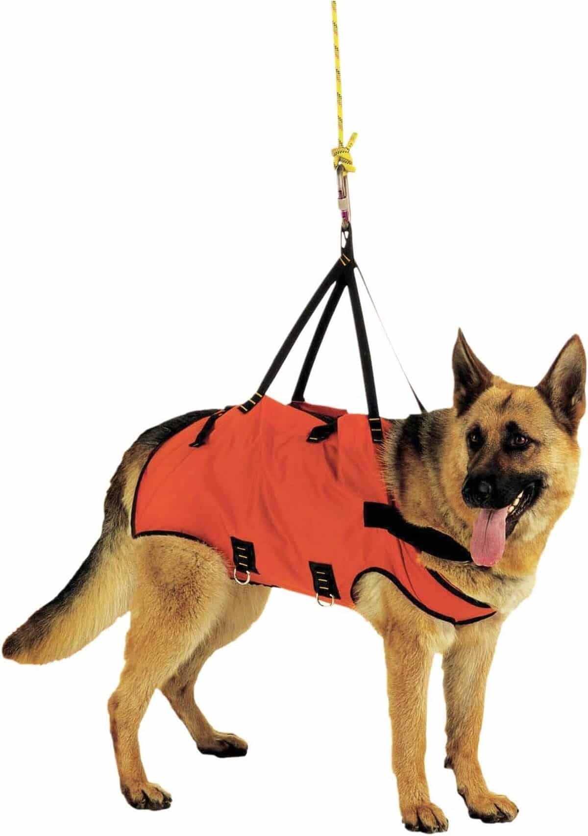 Test du harnais d'urgence taille M Alp Design : confort et ergonomie
