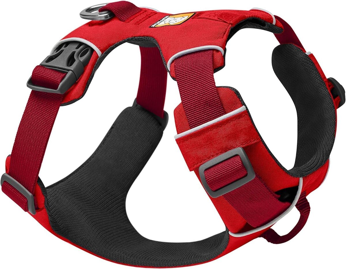 Test du harnais Ruffwear Front Range : confort et solidité pour chiens