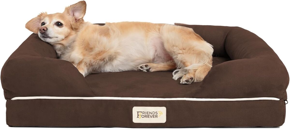 Test du lit orthopédique pour chien Friends Forever Prestige Edition