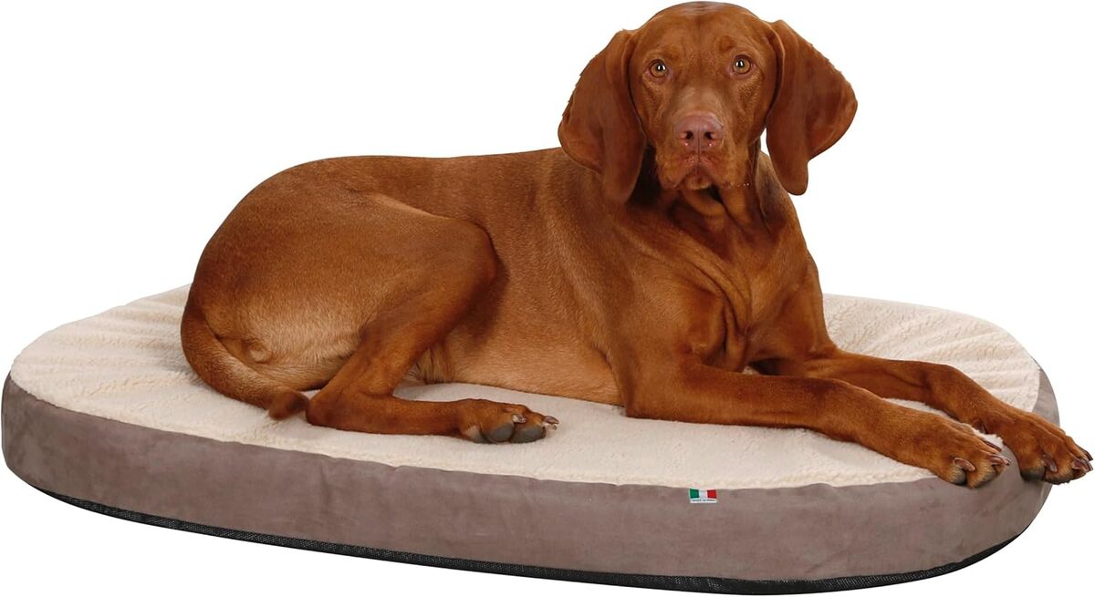 Test du matelas ovale à mémoire de forme pour chien Kerbl