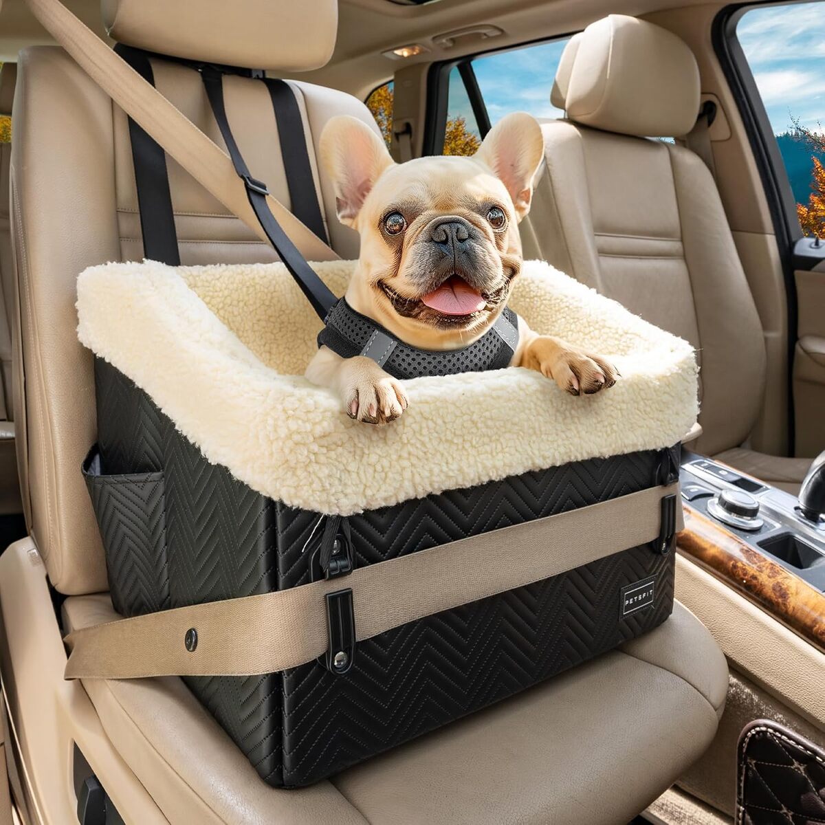 Test du siège auto surélevé Petsfit pour chien et chat