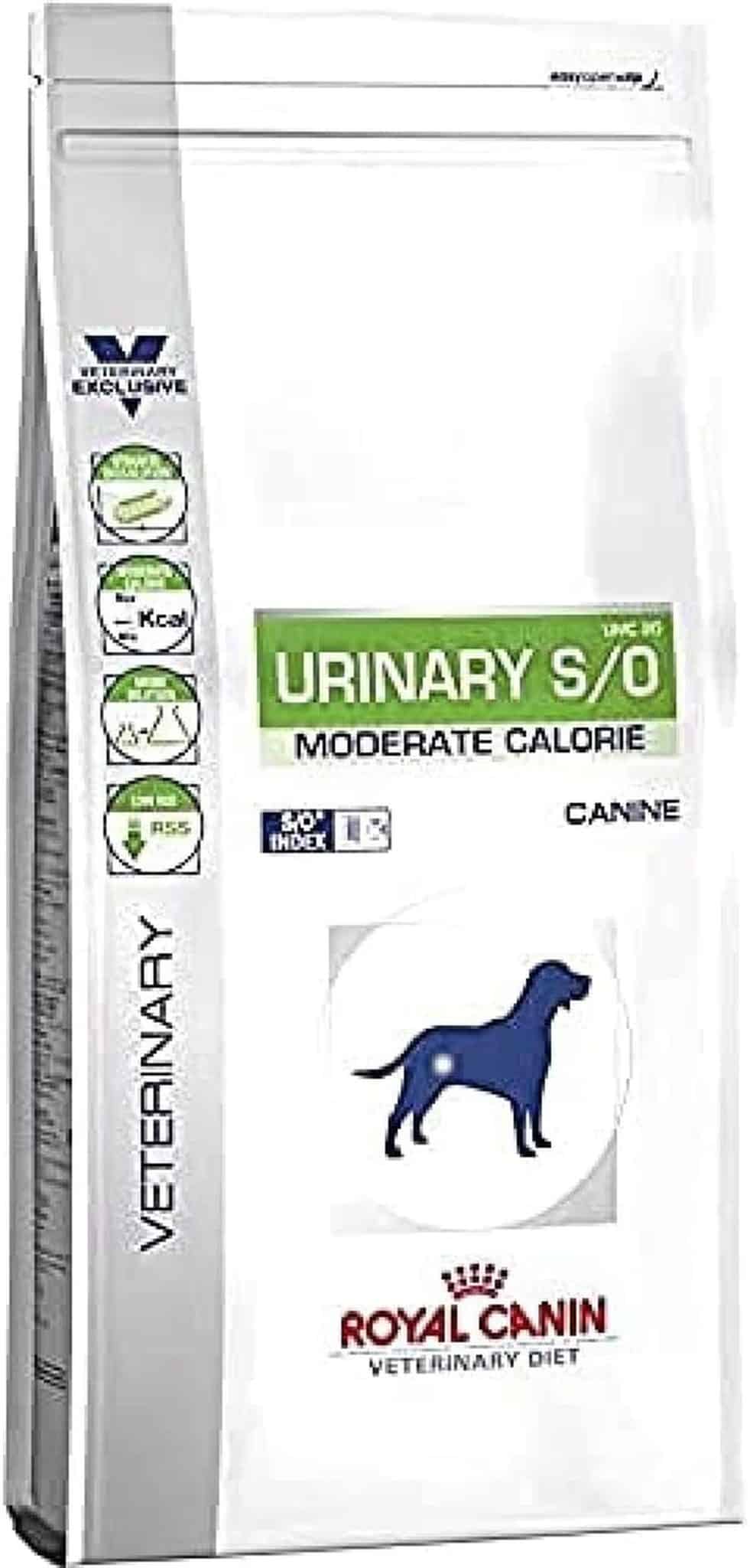 Test Royal Canin Urinary S/O : solution minceur pour chiens