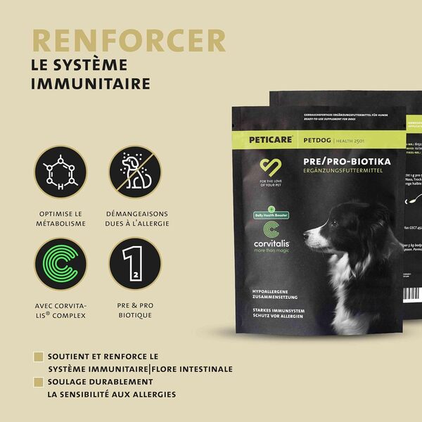 Peticare Chien Prebiotiques & Probiotiques - système immunitaire Fort, nettoie intestins, Flore intestinale, soulage sensibilité Allergies, complément Alimentaire Naturel - petDog Health 2501