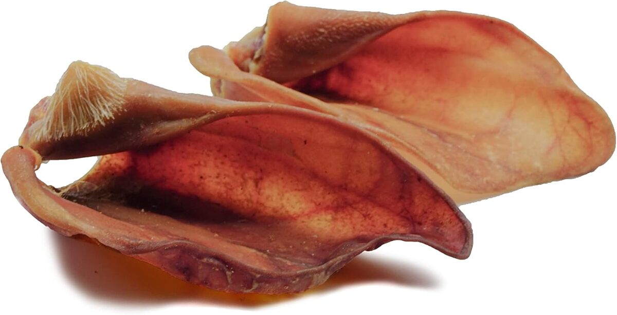 Test : 123... Hund dabei! plaisir naturel pour chiens