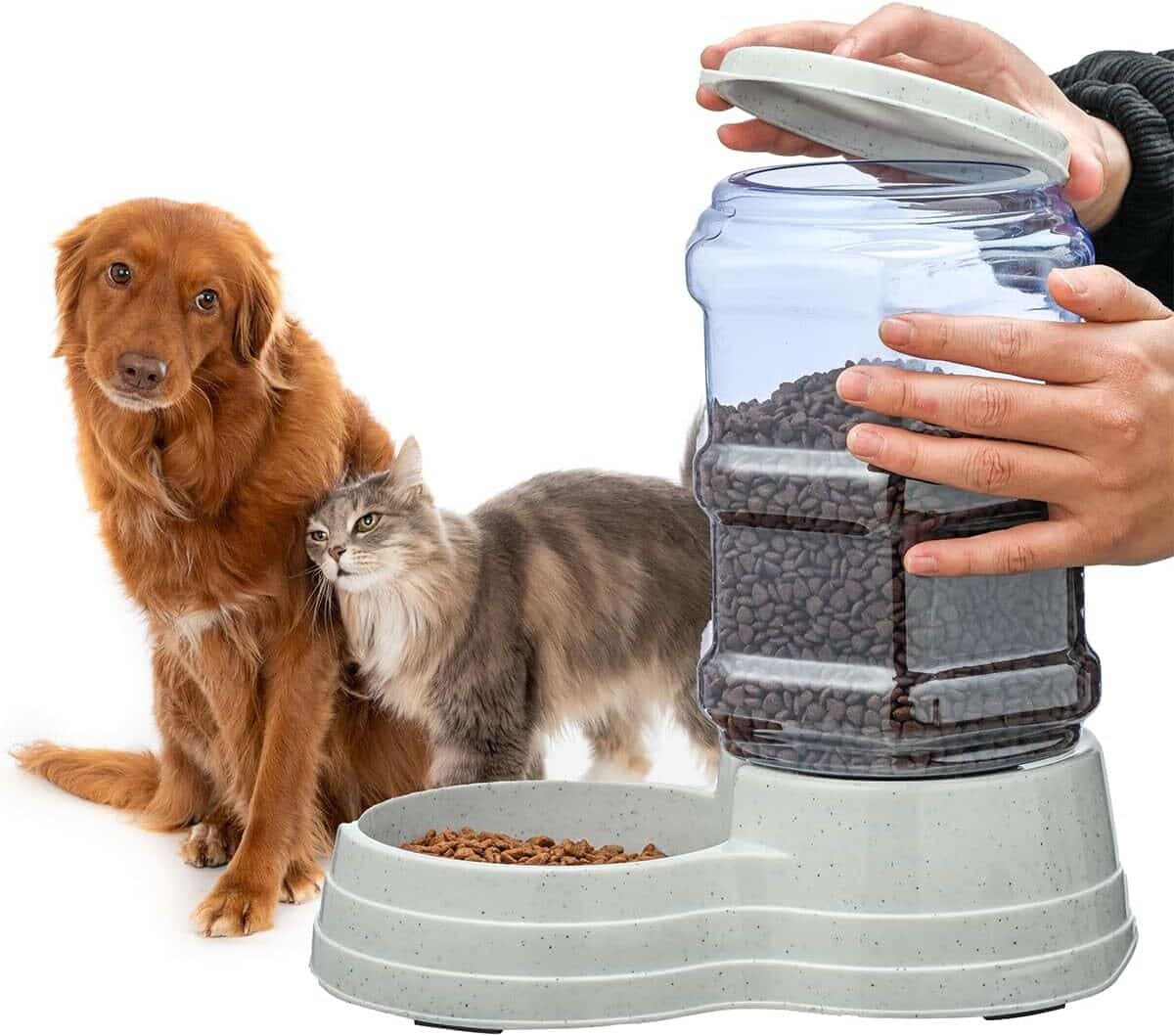 Test de la mangeoire automatique Gravity de 6 L pour chiens de grande taille