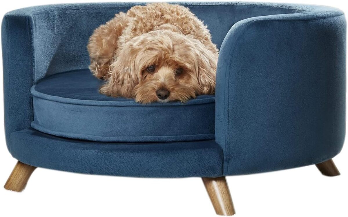 Test du canapé rosie peacock bleu : confort et style pour votre chien