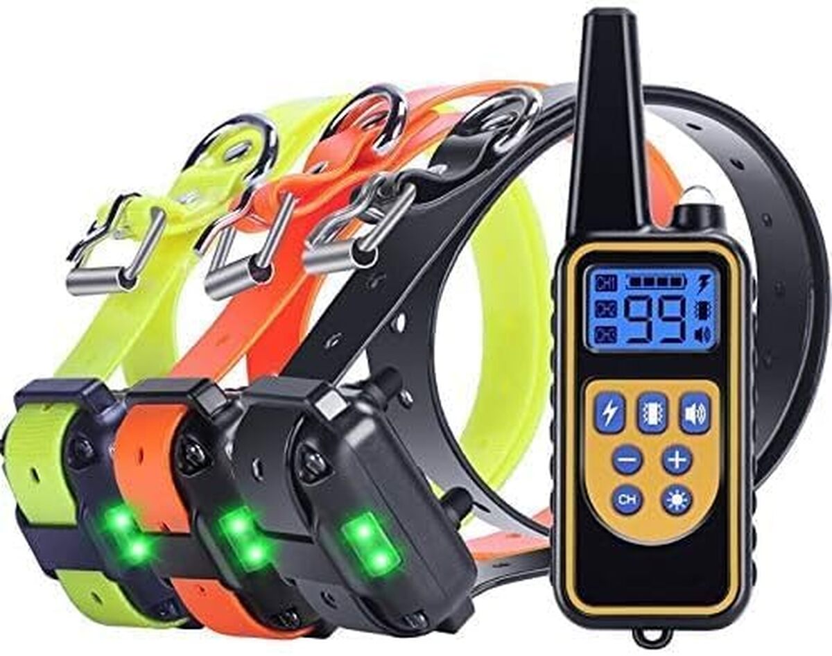 Test du collier de dressage étanche et rechargeable pour chiens