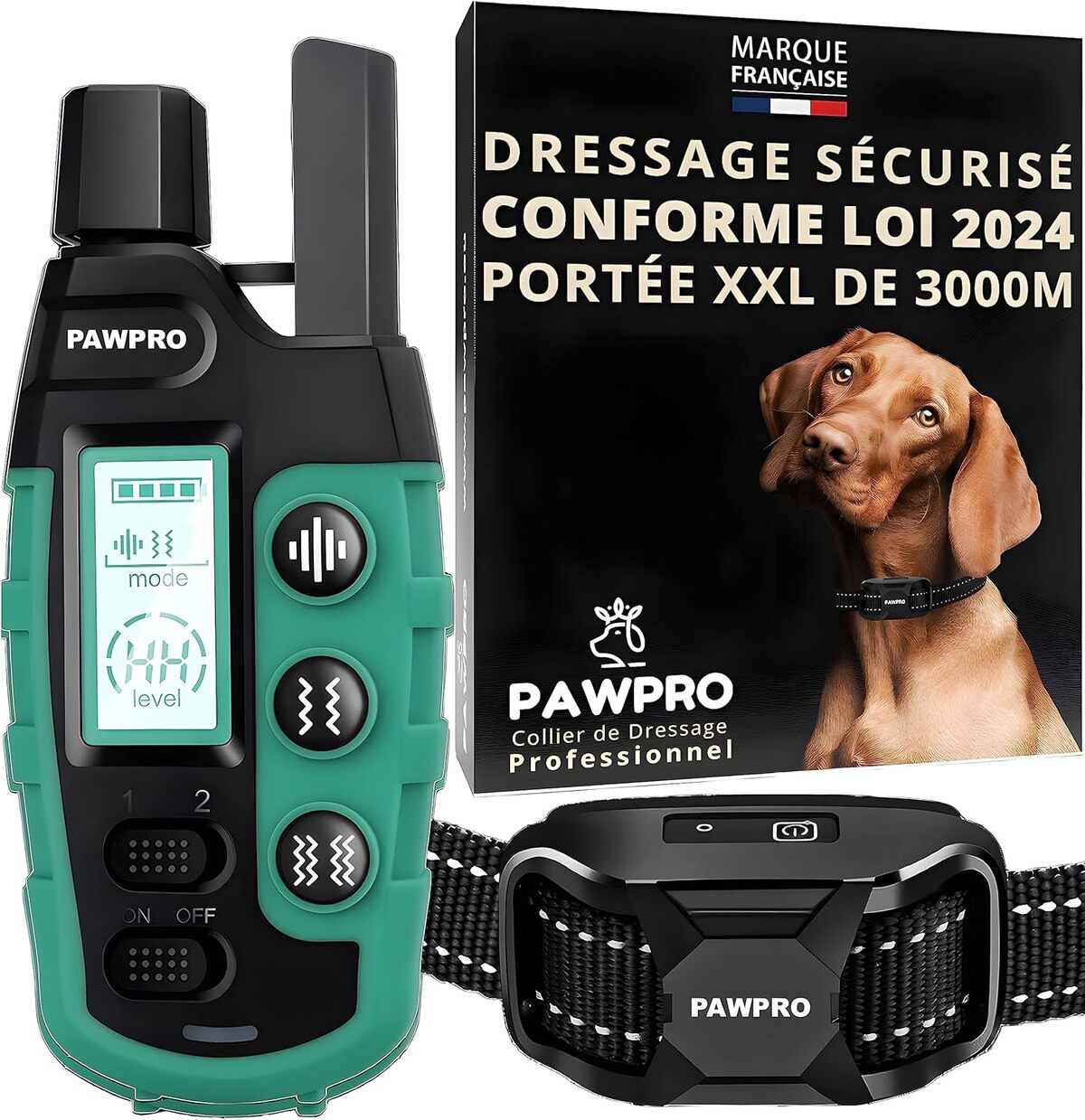 Test du collier PAWPRO : dressage XXL à 3000 m