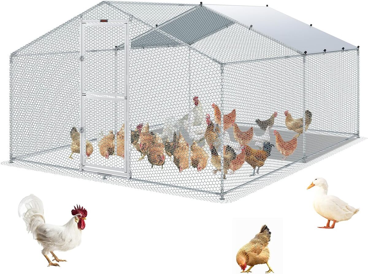 Test du grand enclos VEVOR 400x300 pour animaux