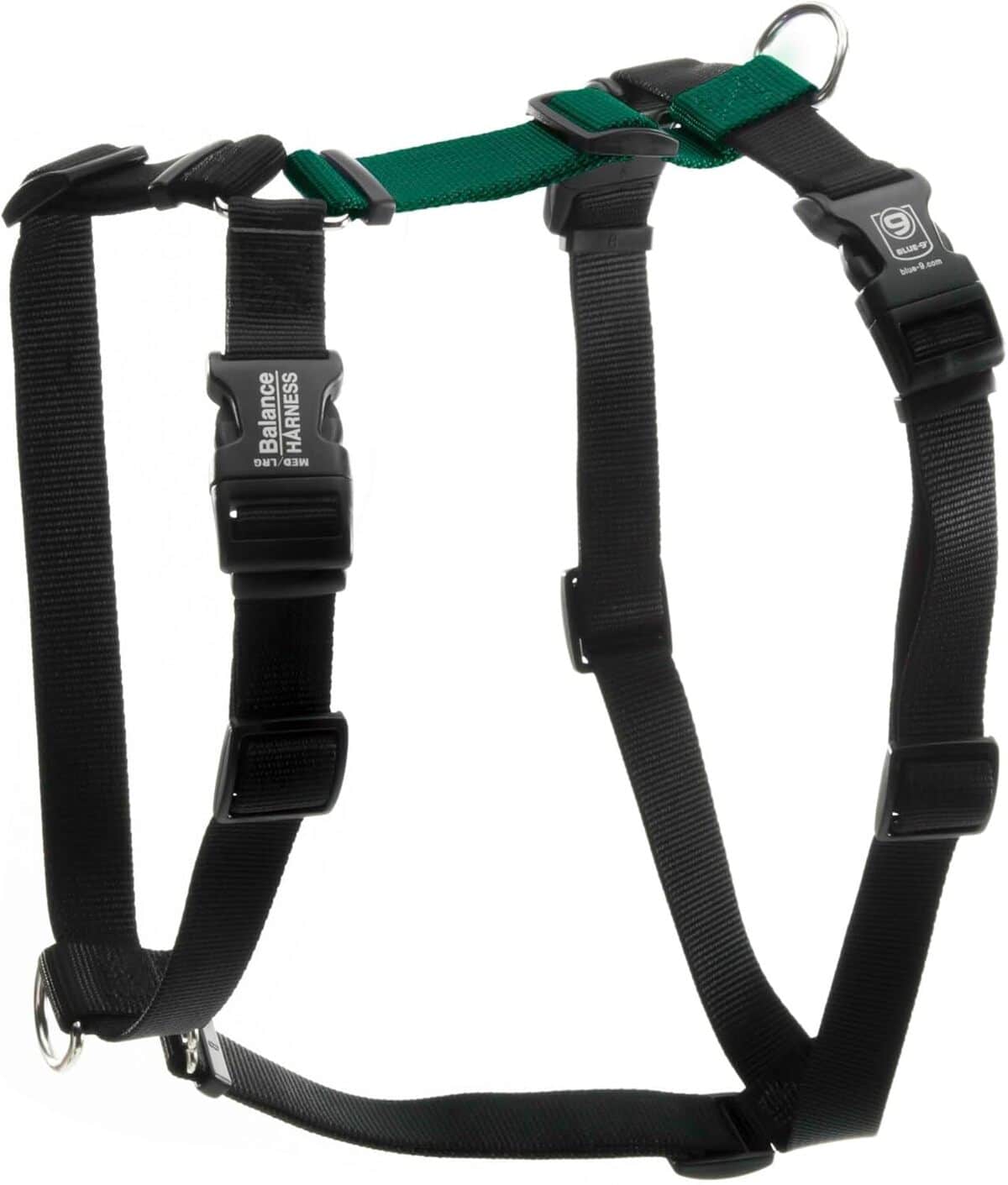 Test du harnais Blue-9 : équilibre et personnalisation pour votre chien
