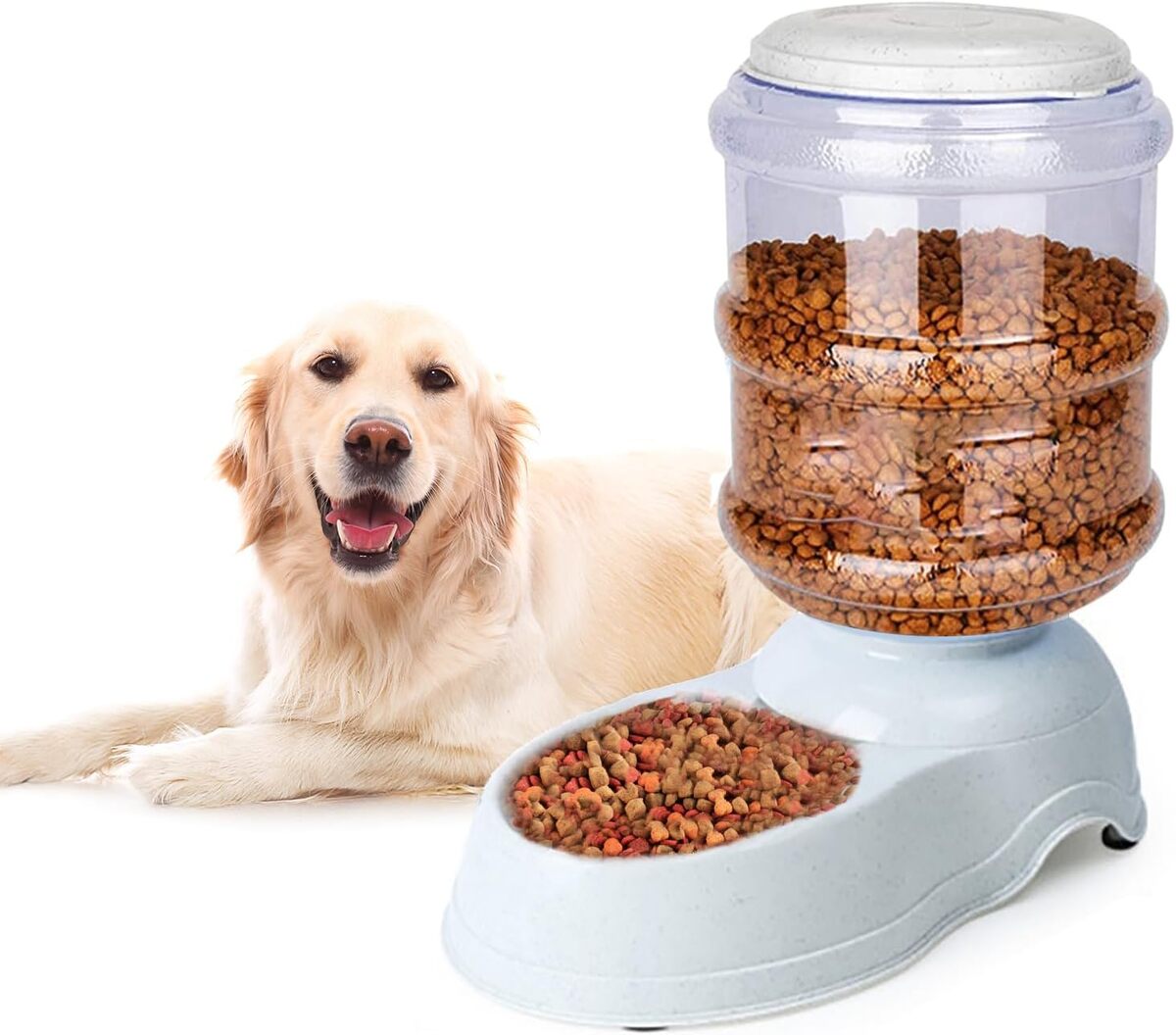 Test : mangeoire automatique pour chien, capacité 10L