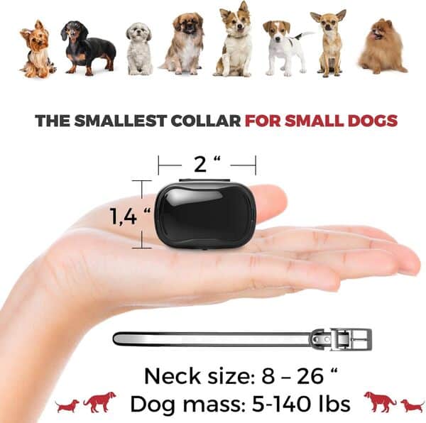 Collier anti-chocs pour chien de petite taille pour dressage de petits chiens de 2,3 à 6,8 kg avec télécommande – Étanche et portée de 300 m