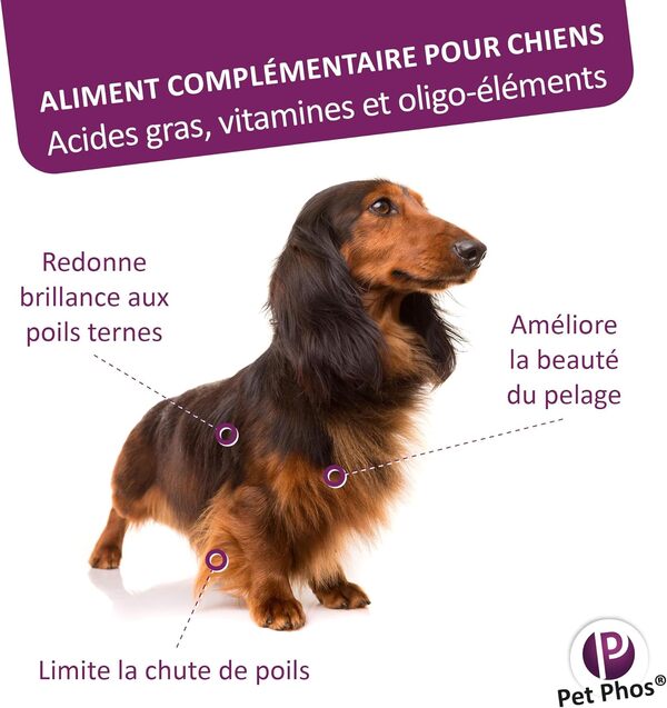 Pet PHOS Pelage Chien - Pelage Sec, terne et abîmé - Chute abondante des Poils - Période de mue - Préparation aux Concours et expositions.
