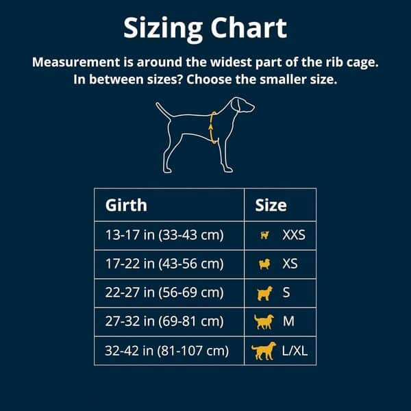 Ruffwear Web Master Harnais pour Chien avec poignée et Boucle améliorée, réglable et léger pour Les promenades et randonnées, Anti-Fuite, sans Traction, Respirant et Confortable, Red Canyon, Taille S