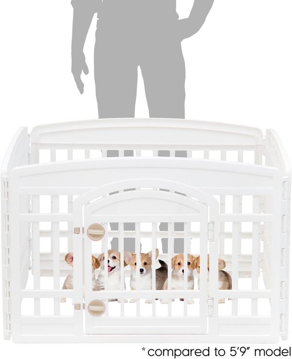Iris USA Parc d'exercice à 4 Panneaux pour Animaux domestiques avec Porte, pour Chiots et Petits Chiens, Garde Les Animaux en sécurité, Assemblage Facile, Pliable, Rangement, Personnalisable, Blanc