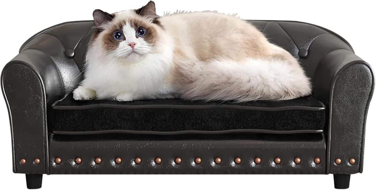 Avis : canapé et chaise PWTJ en cuir synthétique pour chien